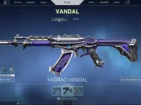 2 Bıçak + 1 Vandal + 3 Phantom + Taktik Ayı